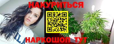 шишки Тверь