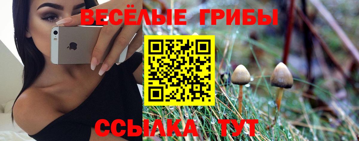 Большой Камень  Галлюциногенные грибы Magic Shrooms  закладки  Вход с VPN 