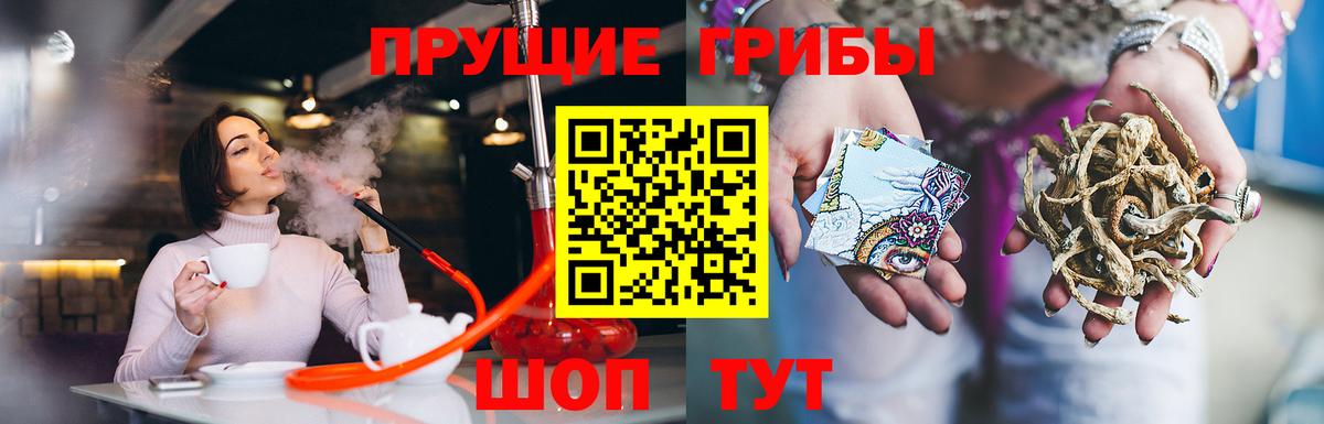 Галлюциногенные грибы мицелий Большой Камень